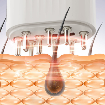 Chú chó nuôi tóc tăng trưởng Laser Comb cho trang trí bàn và loại bỏ lông trên chăm sóc chó Hoàng gia