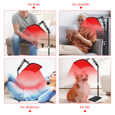 Giảm đau Ban điều trị ánh sáng đỏ với đứng và đầu ra tùy chỉnh